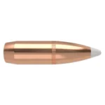 Nosler Bullets Inc. Nosler AccuBond Rifle Bullets .375 cal .375" 300 gr SBT-ACB w CANN 50/ct