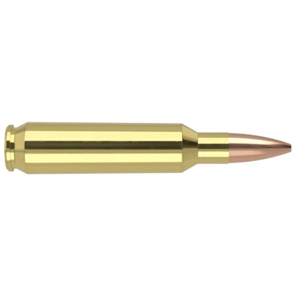 Nosler Bullets Inc. Nosler Custom Competition Match Grade Rifle Ammunition .22 Nosler 77 gr OTM 2950 fps 20/ct