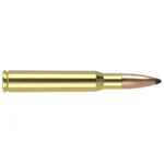 Nosler Partition Trophy Grade rifle ammunition, side view of brass cartridge with copper bullet