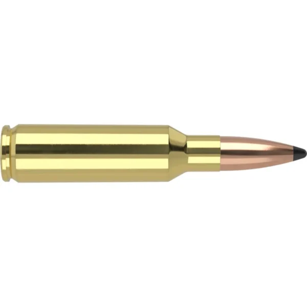 Nosler Bullets Inc. Nosler Partition Trophy Grade Rifle Ammunition .300 SAUM 180 gr PSP 2950 fps 20/ct