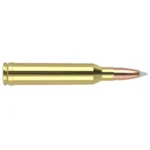 Nosler Bullets Inc. Nosler Accubond Trophy Grade Rifle Ammunition 7mm Rem Mag 140 gr PT 3125 fps 20/ct