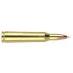 Nosler Accubond Trophy Grade Rifle Ammunition, single brass cartridge in side view