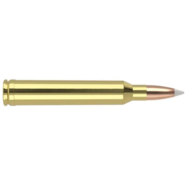 Nosler Bullets Inc. Nosler Accubond Trophy Grade Rifle Ammunition 7mm STW 160 gr PT 3075 fps 20/ct