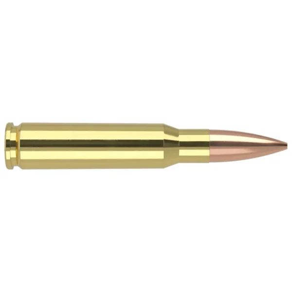 Nosler Bullets Inc. Nosler Custom Competition Match Grade Rifle Ammunition .308 Win 175 gr OTM 2600 fps 20/ct
