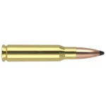 Nosler Bullets Inc. Nosler Partition Trophy Grade Rifle Ammunition .308 Win 165 gr PT 2800 fps 20/ct