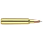 Nosler Bullets Inc. Nosler Accubond Trophy Grade Rifle Ammunition .300 RUM 180 gr PT 3250 fps 20/ct