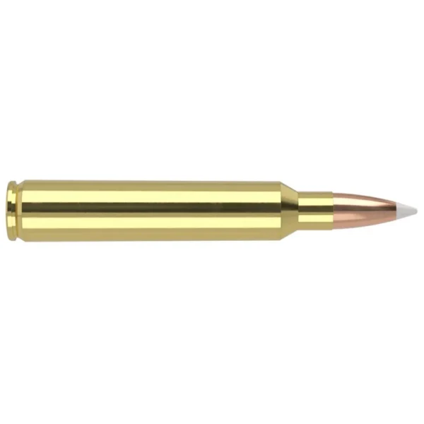 Nosler Bullets Inc. Nosler Accubond Trophy Grade Rifle Ammunition .300 RUM 180 gr PT 3250 fps 20/ct