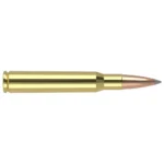 Nosler Bullets Inc. Nosler Accubond Long Range Trophy Grade Rifle Ammunition .30-06 Sprg 168 gr PT 2800 fps 20/ct