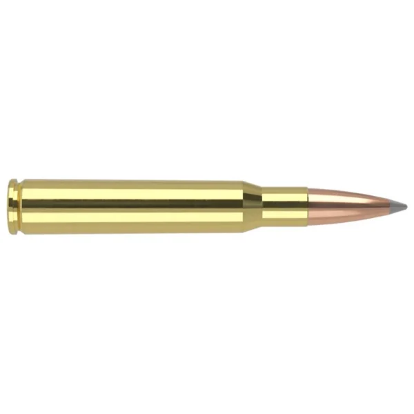 Nosler Bullets Inc. Nosler Accubond Long Range Trophy Grade Rifle Ammunition .30-06 Sprg 168 gr PT 2800 fps 20/ct
