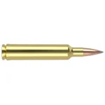 Nosler Accubond Long Range Trophy Grade Rifle Ammunition single brass cartridge, side view