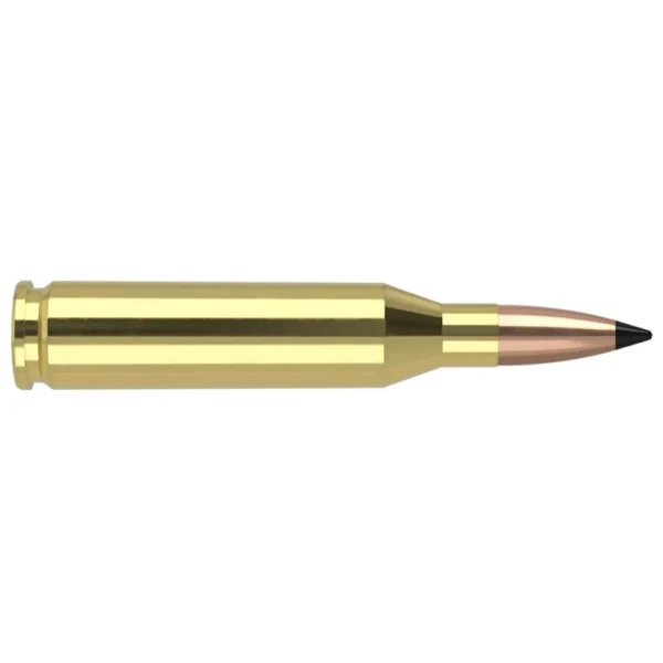 Nosler Bullets Inc. Nosler Varmegeddon Rifle Ammunition .243 Win 70 gr PT 3500 fps 20/ct