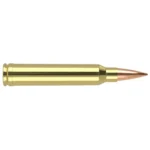 Nosler Bullets Inc. Nosler Accubond Long Range Trophy Grade Rifle Ammunition .300 WSM 190 gr PT 2875 fps 20/ct
