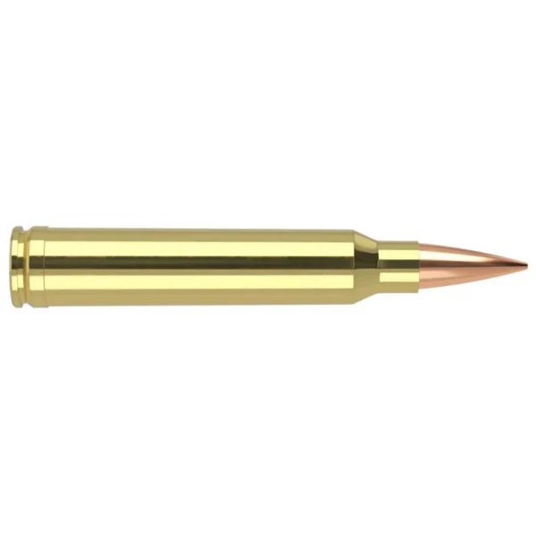 Nosler Bullets Inc. Nosler Accubond Long Range Trophy Grade Rifle Ammunition .300 WSM 190 gr PT 2875 fps 20/ct
