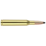 Nosler Trophy Grade rifle ammunition, side view of brass cartridge with copper pointed bullet