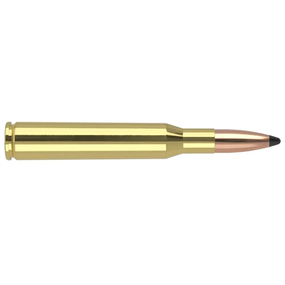 primary-27713 Nosler Trophy Grade rifle ammunition, side view of brass cartridge with copper pointed bullet