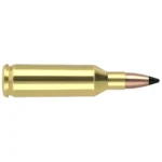 Nosler Bullets Inc. Nosler Varmageddon Rifle Ammunition .17 Rem Fireball 20 gr FB Tipped 4000 fps 20/ct