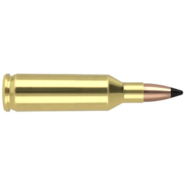 Nosler Bullets Inc. Nosler Varmageddon Rifle Ammunition .17 Rem Fireball 20 gr FB Tipped 4000 fps 20/ct