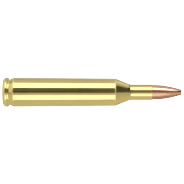 Nosler Bullets Inc. Nosler Varmegeddon Rifle Ammunition .17 Rem 20 gr FBHP 3550 fps 20/ct