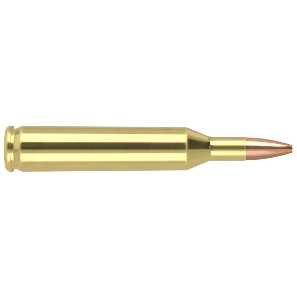 primary-27727 Nosler Bullets Inc. Nosler Varmegeddon Rifle Ammunition .17 Rem 20 gr FBHP 3550 fps 20/ct