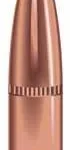 Speer Grand Slam Rifle Bullets .25 cal .257" 120 gr GSSP 50/ct