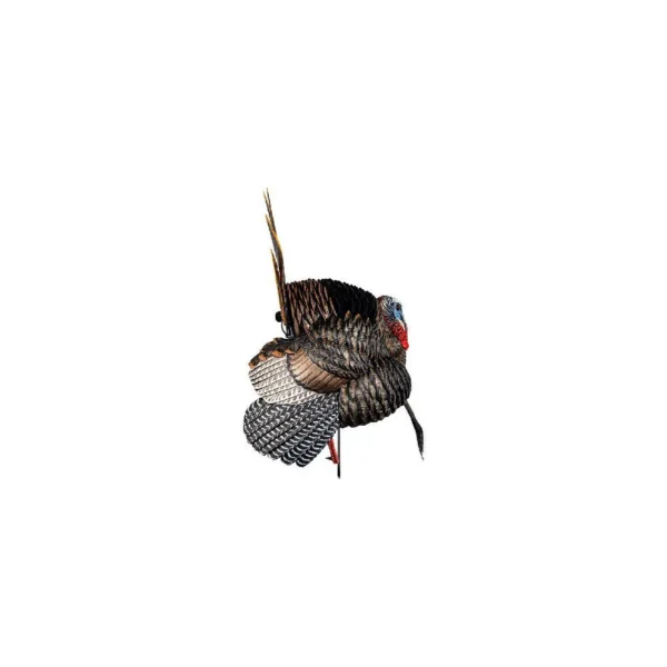Avian-X HDR Strutter