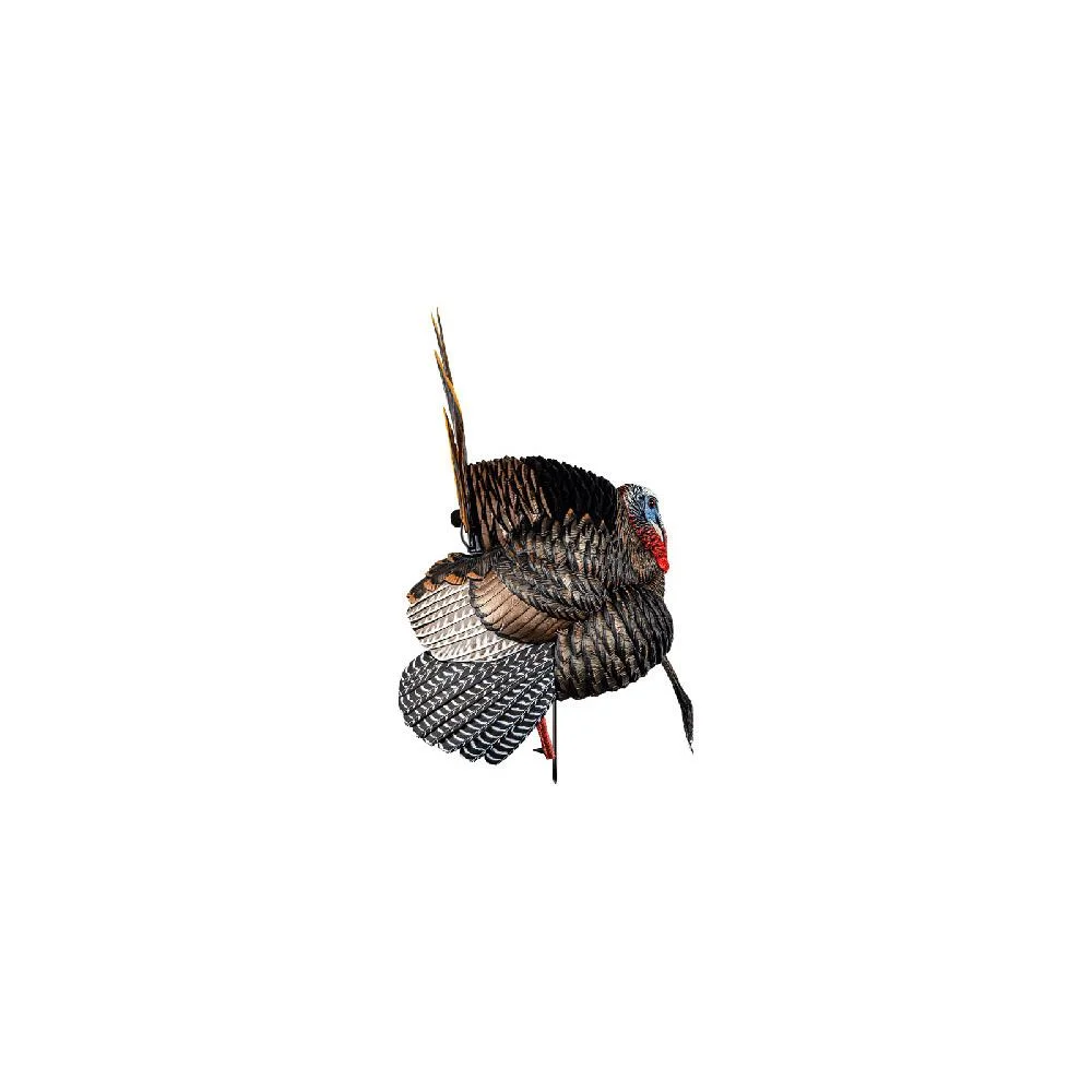 primary-29549 Avian-X HDR Strutter