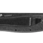 Kershaw Knives Kershaw Random Leek Reverse Tanto Assisted Folding Knife (3" BlackWash)
