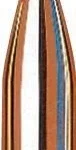 Hornady Traditional Varmint Bullets, cutaway view of copper-coloured bullet with exposed core