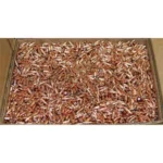Hornady Traditional Varmint Bullets, open cardboard box filled with copper-colored pointed bullets