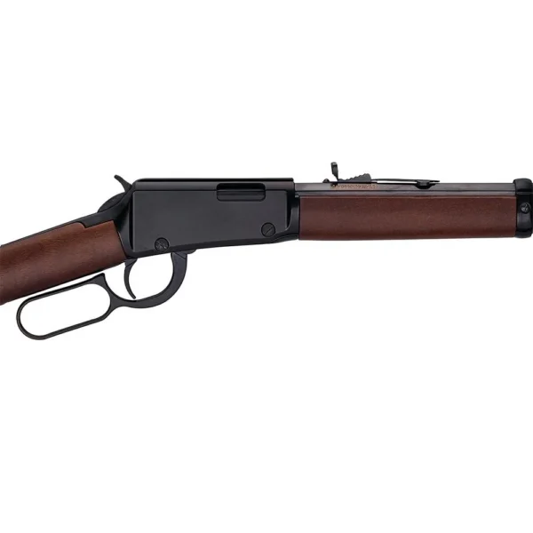 Henry Repeating Arms Company Henry H1 Frontier Rifle .17 HMR 13rd Capacity 20" Octagon Barrel Walnut Stock