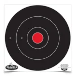Birchwood Casey Dirty Bird bull's-eye target with black rings and red center