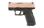 Springfield SPRGFLD XD9 DEF 9MM 3" 2 MAGS RG