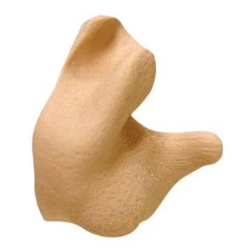 Radians Inc. Radians Custom Molded Ear Plugs