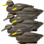 Higdon Legacy Magnum Black Duck Decoys, six foam-filled decoys grouped in right-side view