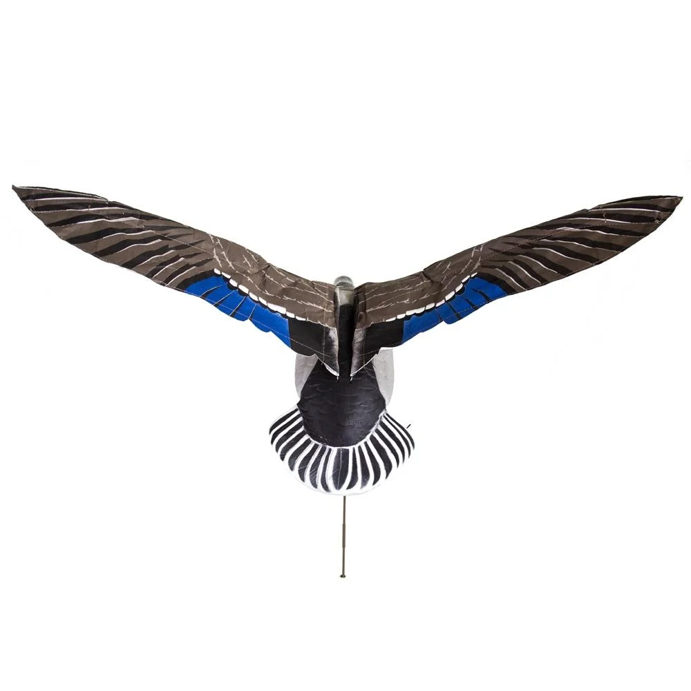primary-37954 Higdon Outdoors Motion Decoy Clone Drake Mallard, rear view with wings spread and blue accents