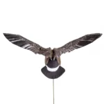 Higdon Outdoors Motion Decoy Clone Canada Goose, flying goose with spread wings and support rod