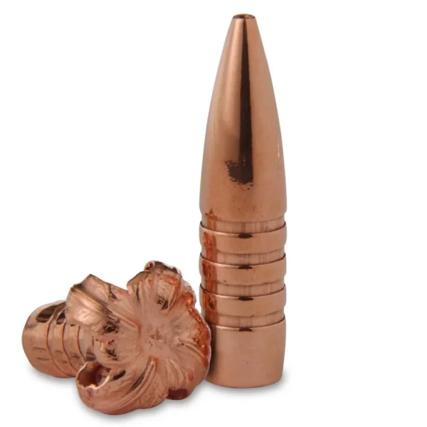 Barnes TSX copper bullets, one upright pointed bullet and one expanded bullet