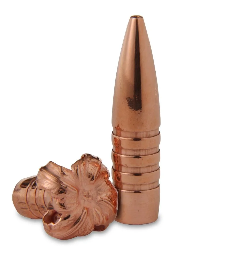 primary-38514 Barnes TSX copper bullets, one upright pointed bullet and one expanded bullet