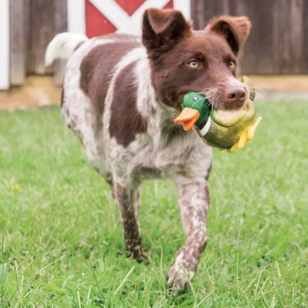Radio Systems Corporation dba Sport Dog PetSafe Sportsmen Squeeze Meeze Duck