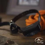 SportDOG Brand NoBark SBC-R Collar, black collar angled on a wooden surface with orange gloves