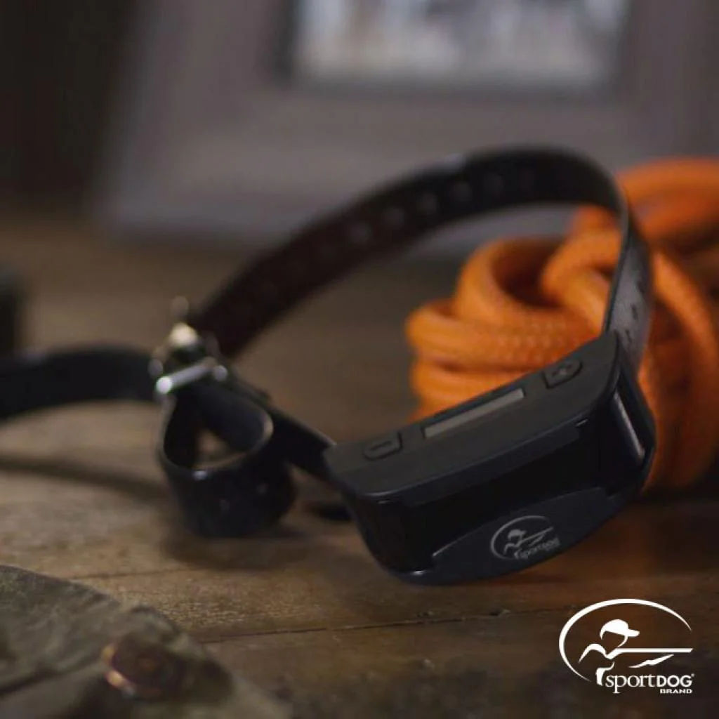 primary-39040 SportDOG Brand NoBark SBC-R Collar, black collar angled on a wooden surface with orange gloves