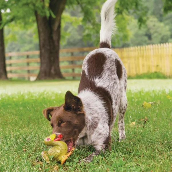 Radio Systems Corporation dba Sport Dog PetSafe Sportsmen Latex Meeze Turkey
