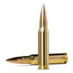 Norma Ammunition Norma Golden Target Match Rifle Ammunition .308 Win 175gr HPBT 2610 fps 20/ct