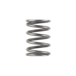 Dead Air piston spring for Ghost Odessa and Mojave 9, silver coil spring in upright view