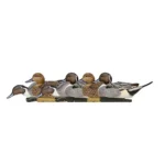 Avian-X Topflight Pintails Duck Decoys, side view of six brown, gray and white duck decoys