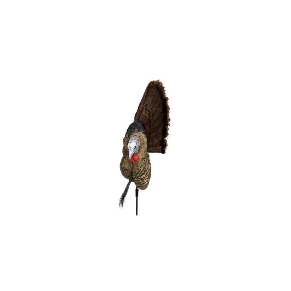 Avian-X Trophy Tom Turkey Decoy