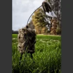 Huntwise dba MOJO Outdoors Mojo Super Critter Predator Decoy