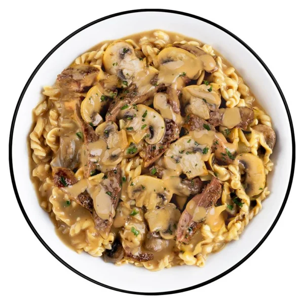 ReadyWise Company Readywise Pro Meal Beef Stroganoff Single Pack