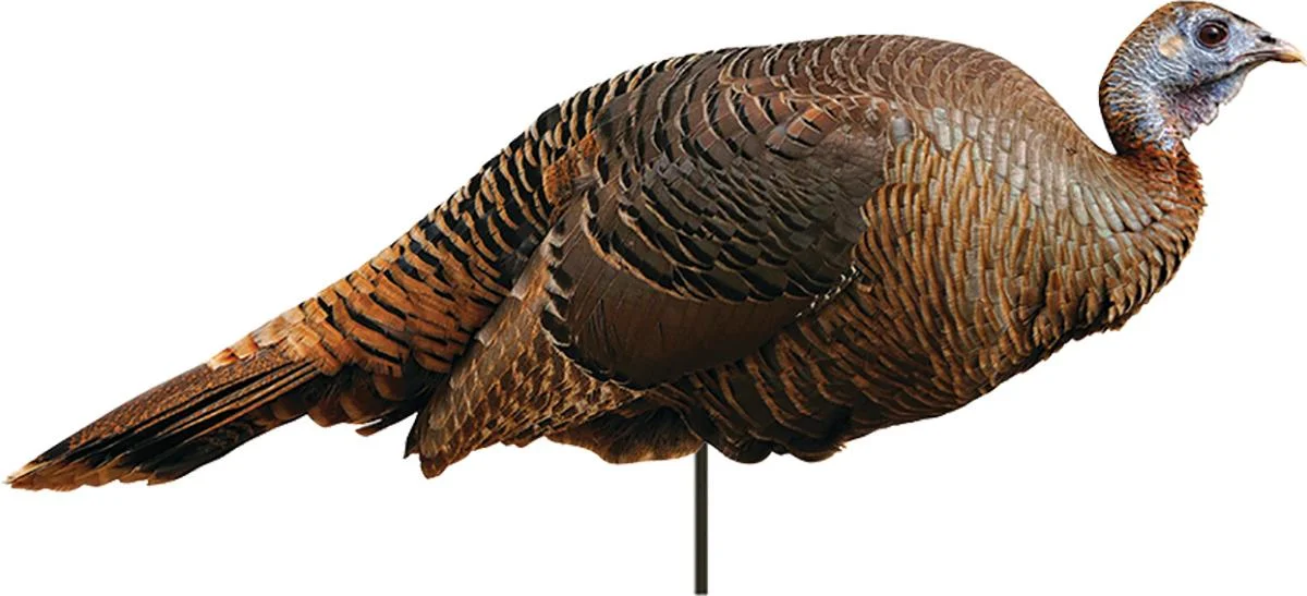primary-45177 Montana Decoy Co Spring Fling Hen Decoy, right-side view of brown turkey decoy on stake