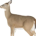 Montana Decoy Co Dreamy Doe Decoy, brown doe in left-facing side view with white tail